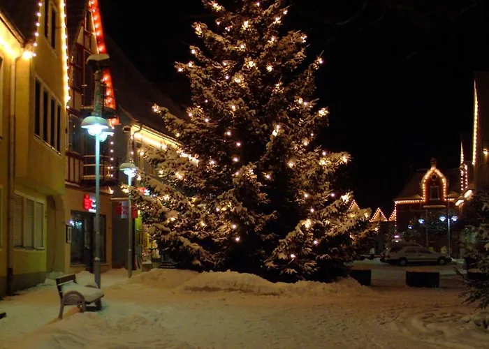 Stern ゲストハウス 4*